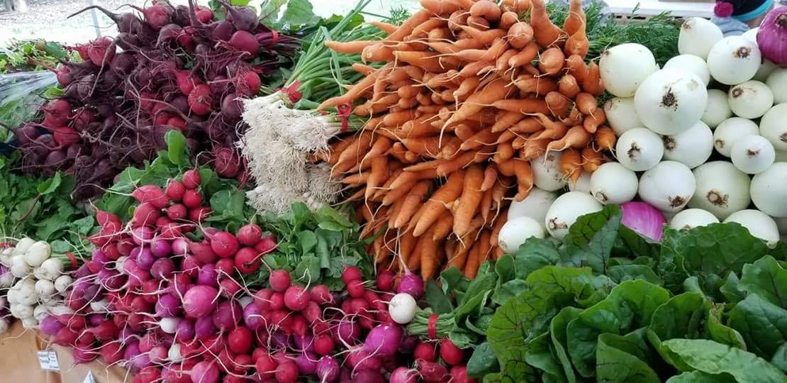 Beets, bunched carrots, radishes, salad turnips, onions and chard laid out on the Root 64 farm stand table