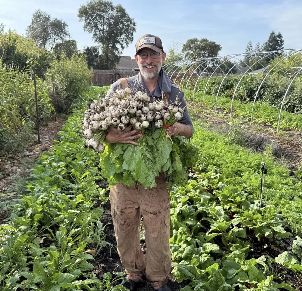 Randy Stannard standing between planted beds at Root 64 holding a large armload of freshly pulled salad turnips, hoop house behind him