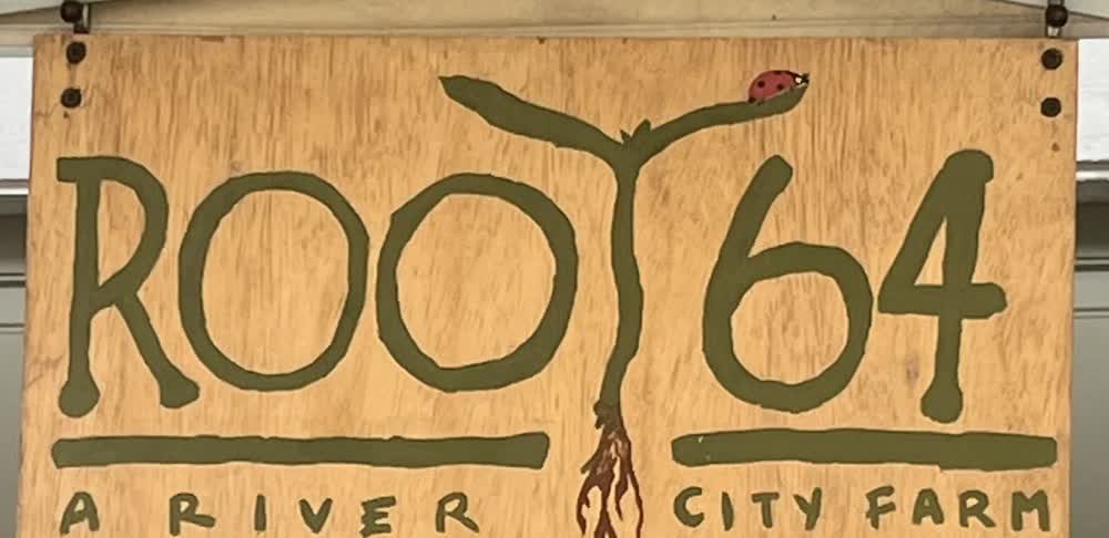 The hand-painted Root 64 sign: a sprouting root with a ladybug on it, lettered A RIVER CITY FARM